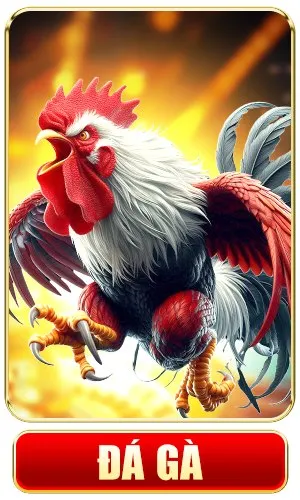 J88 đá gà icon
